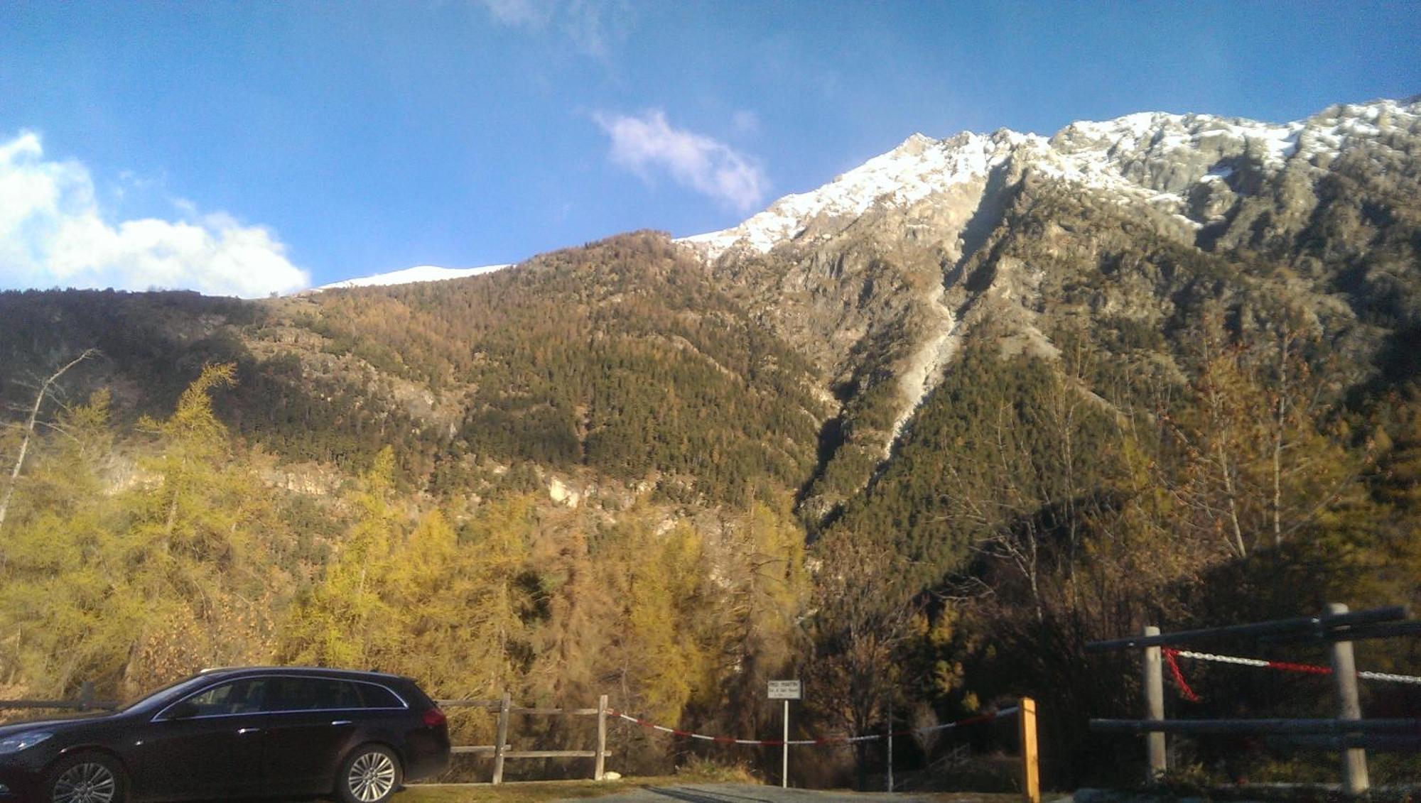 Piemartin *