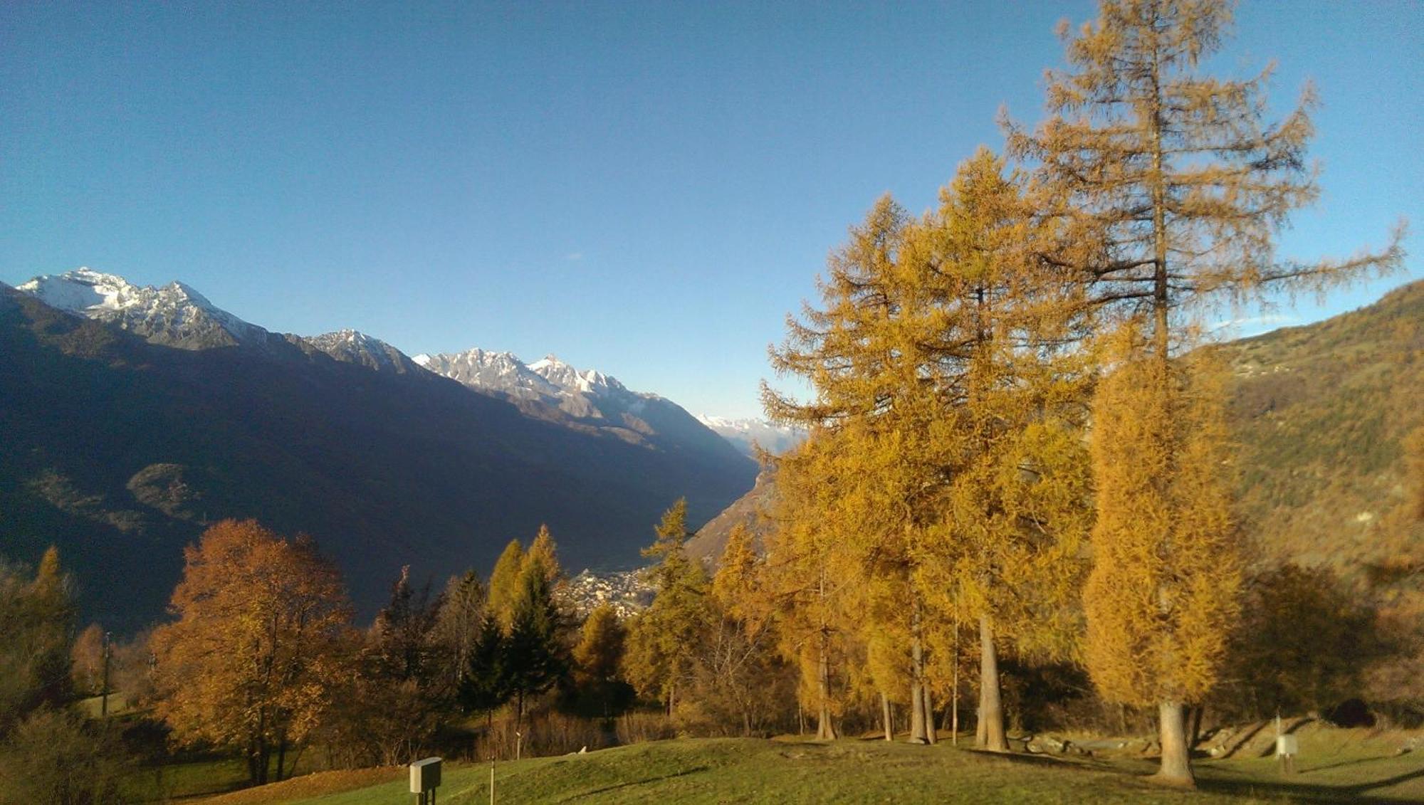 Piemartin * Saint-Vincent